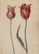 Georg Flegel Two Tulips Sweden oil painting artist